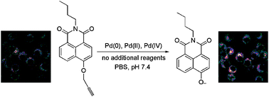 Graphical abstract: A 4-hydroxynaphthalimide-derived ratiometric fluorescent chemodosimeter for imaging palladium in living cells