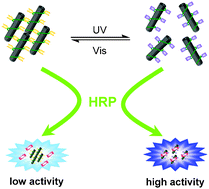 Graphical abstract: Light regulation of peroxidase activity by spiropyran functionalized carbon nanotubes used for label-free colorimetric detection of lysozyme