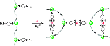 Graphical abstract: Molecular sensitivity of DNA–Ag–PATP hybrid on optical activity for ultratrace mercury analysis