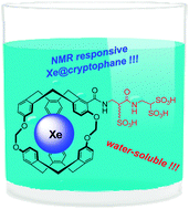Graphical abstract: The first metal-free water-soluble cryptophane-111