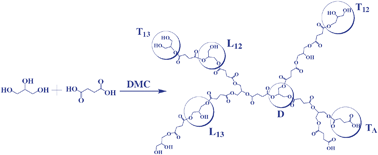 Graphical abstract: Novel application of a Fe–Zn double-metal cyanide catalyst in the synthesis of biodegradable, hyperbranched polymers