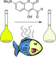 Graphical abstract: A molecular probe for the optical detection of biogenic amines