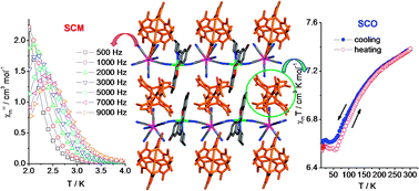 Graphical abstract: Spin crossover in the cyanide-bridged MoVMnIII single-chain magnet containing FeII cations