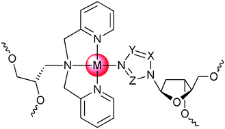 Graphical abstract: Chimeric GNA/DNA metal-mediated base pairs