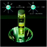 Graphical abstract: Nitric oxide-releasing ruthenium nanoparticles