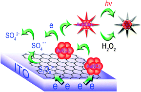 Graphical abstract: Fabrication of a dispersible graphene/gold nanoclusters hybrid and its potential application in electrogenerated chemiluminescence