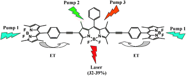 Graphical abstract: Unprecedented laser action from energy transfer in multichromophoric BODIPY cassettes