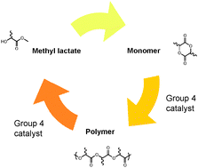 Graphical abstract: Group 4 salalen complexes for the production and degradation of polylactide
