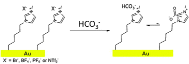 Graphical abstract: Properties of ionic liquids on Au surfaces: non-conventional anion exchange reactions with carbonate