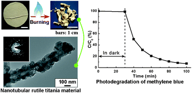 Graphical abstract: Flame synthesis of hierarchical nanotubular rutile titania derived from natural cellulose substance