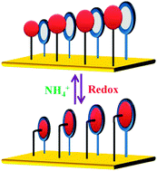 Graphical abstract: Characterization of the mixed self-assembled monolayer at the molecular scale