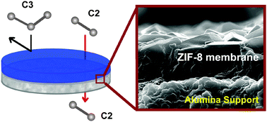 Graphical abstract: Sharp separation of C2/C3 hydrocarbon mixtures by zeolitic imidazolate framework-8 (ZIF-8) membranes synthesized in aqueous solutions