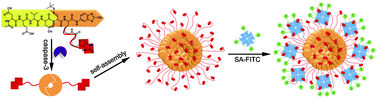 Graphical abstract: Caspase-3 controlled assembly of nanoparticles for fluorescence turn on