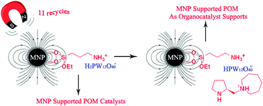 Graphical abstract: Magnetic nanoparticle supported polyoxometalates (POMs) via non-covalent interaction: reusable acid catalysts and catalyst supports for chiral amines