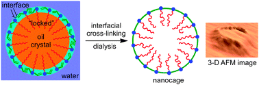 Graphical abstract: Polyelectrolyte nanocages via crystallized miniemulsion droplets