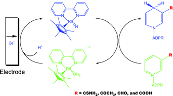 Graphical abstract: Coenzyme analogs: excellent substitutes (not poor imitations) for electrochemical regeneration