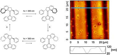 Graphical abstract: Mass migration on a polymer surface caused by photoinduced molecular rotation