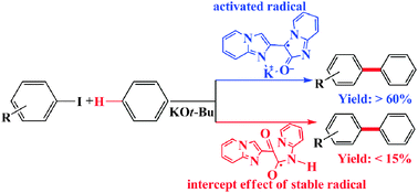 Graphical abstract: Direct arylation of unactivated aromatic C–H bonds catalyzed by a stable organic radical