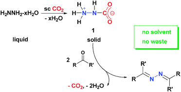 Graphical abstract: Isolation and structural characterization of the elusive 1 : 1 adduct of hydrazine and carbon dioxide