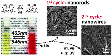 Graphical abstract: Photochromic one-dimensional nanostructures based on dithienylethene: fabrication by light-induced precipitation and reversible transformation in the nanoparticle state