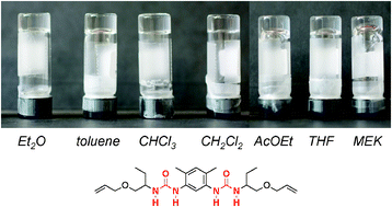 Graphical abstract: Hydrogen bonded supramolecular polymers in moderately polar solvents