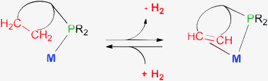 Graphical abstract: Dehydrogenation processes via C–H activation within alkylphosphines