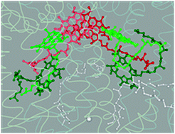 Graphical abstract: Conformational control of cofactors in nature—functional tetrapyrrole conformations in the photosynthetic reaction centers of purple bacteria