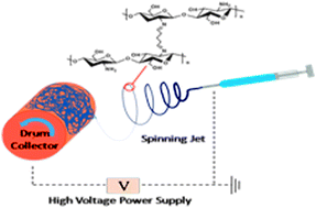 Graphical abstract: Pd(ii) conjugated chitosan nanofibre mats for application in Heck cross-coupling reactions