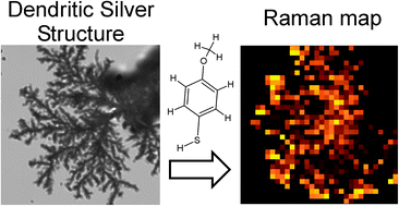 Graphical abstract: Photocatalytic growth of dendritic silver nanostructures as SERS substrates