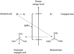 Graphical abstract: Protic ionic liquids based on phosphonium cations: comparison with ammonium analogues