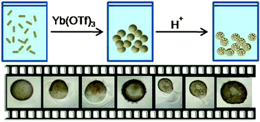 Graphical abstract: Acid-responsive microcapsules: the loading–unloading processes