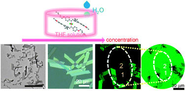 Graphical abstract: Anisotropic two-dimensional sheets assembled from rod-shaped metal complexes