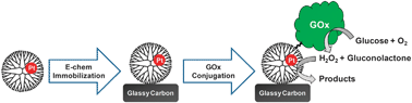 Graphical abstract: Decoration of glassy carbon surfaces with dendrimer-encapsulated nanoparticles with a view to constructing bifunctional nanostructures