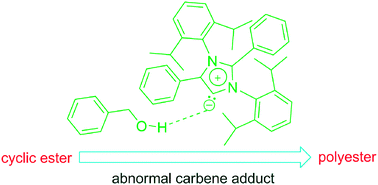 Graphical abstract: Introduction of abnormal N-heterocyclic carbene as an efficient organocatalyst: ring opening polymerization of cyclic esters