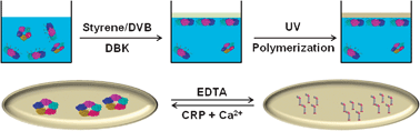 Graphical abstract: C-Reactive protein-directed immobilization of phosphocholine ligands on a solid surface