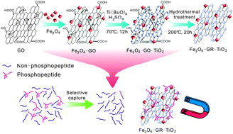 Graphical abstract: Synthesis of Fe3O4–graphene–TiO2 ternary composite networks for enhanced capture of phosphopeptides