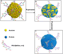 Graphical abstract: Highly active Pt@Au nanoparticles encapsulated in perfluorosulfonic acid for the reduction of oxygen