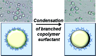 Graphical abstract: One-pot, single-component synthesis of functional emulsion-templated hybrid inorganic–organic polymer capsules