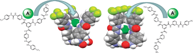 Graphical abstract: Selective and tuneable recognition of anions using C3v-symmetrical tripodal urea-amide receptor platforms