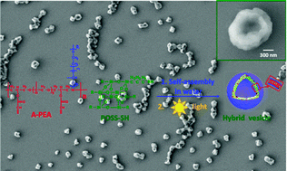 Graphical abstract: Thiol–ene photocrosslinked hybrid vesicles from co-assembly of POSS and poly(ether amine) (PEA)