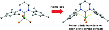 Graphical abstract: Modelling fundamental arene–borane contacts: spontaneous formation of a dibromoborenium cation driven by interaction between a borane Lewis acid and an arene π system