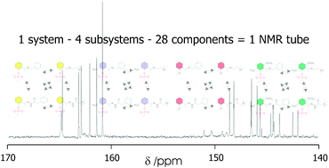 Graphical abstract: 13C-isotope labelling for the facilitated NMR analysis of a complex dynamic chemical system