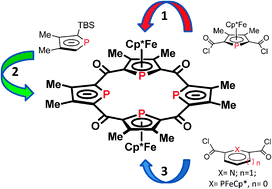 Graphical abstract: Stepwise syntheses of tri- and tetraphosphaporphyrinogens