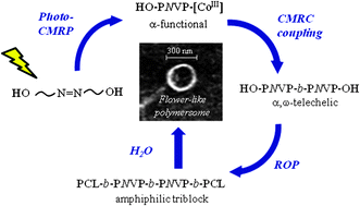Graphical abstract: New functional poly(N-vinylpyrrolidone) based (co)polymers via photoinitiated cobalt-mediated radical polymerization