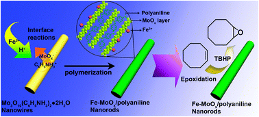 Graphical abstract: Preparation of organic–inorganic hybrid Fe–MoOx/polyaniline nanorods as efficient catalysts for alkene epoxidation