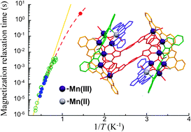 Graphical abstract: A molecular [Mn14] coordination cluster featuring two slowly relaxing nanomagnets