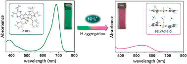 Graphical abstract: A selective colorimetric and fluorometric ammonium ion sensor based on the H-aggregation of an aza-BODIPY with fused pyrazine rings