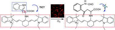 Graphical abstract: A near-infrared fluorescent probe for monitoring ozone and imaging in living cells