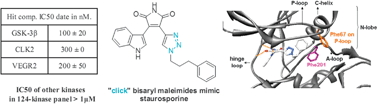 Graphical abstract: Discovery and structural insight of a highly selective protein kinase inhibitor hit through click chemistry