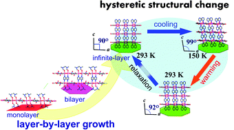 Graphical abstract: Layer-by-layer evolution and a hysteretic single-crystal to single-crystal transformation cycle of a flexible pillared-layer open framework